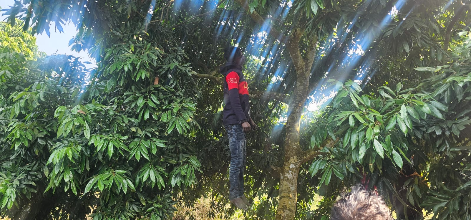 dead_body_photo_-jenaidah_10.01.25 dead_body_photo_-jenaidah_10.01.25