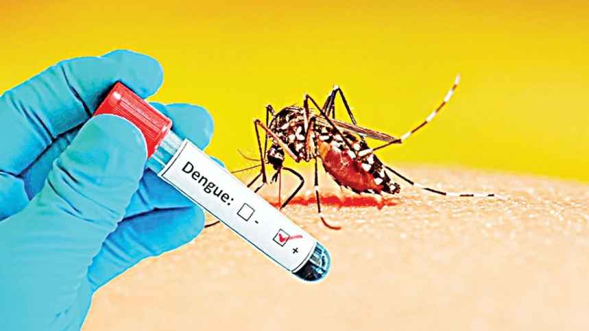 dengue