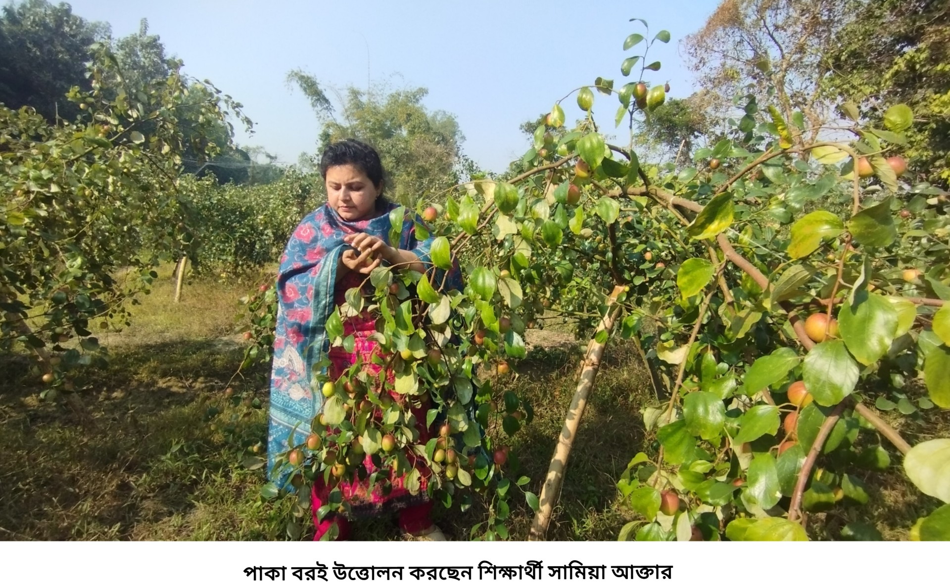 e702272d-22e3-4a57-bc05-08fc8e639750 e702272d-22e3-4a57-bc05-08fc8e639750