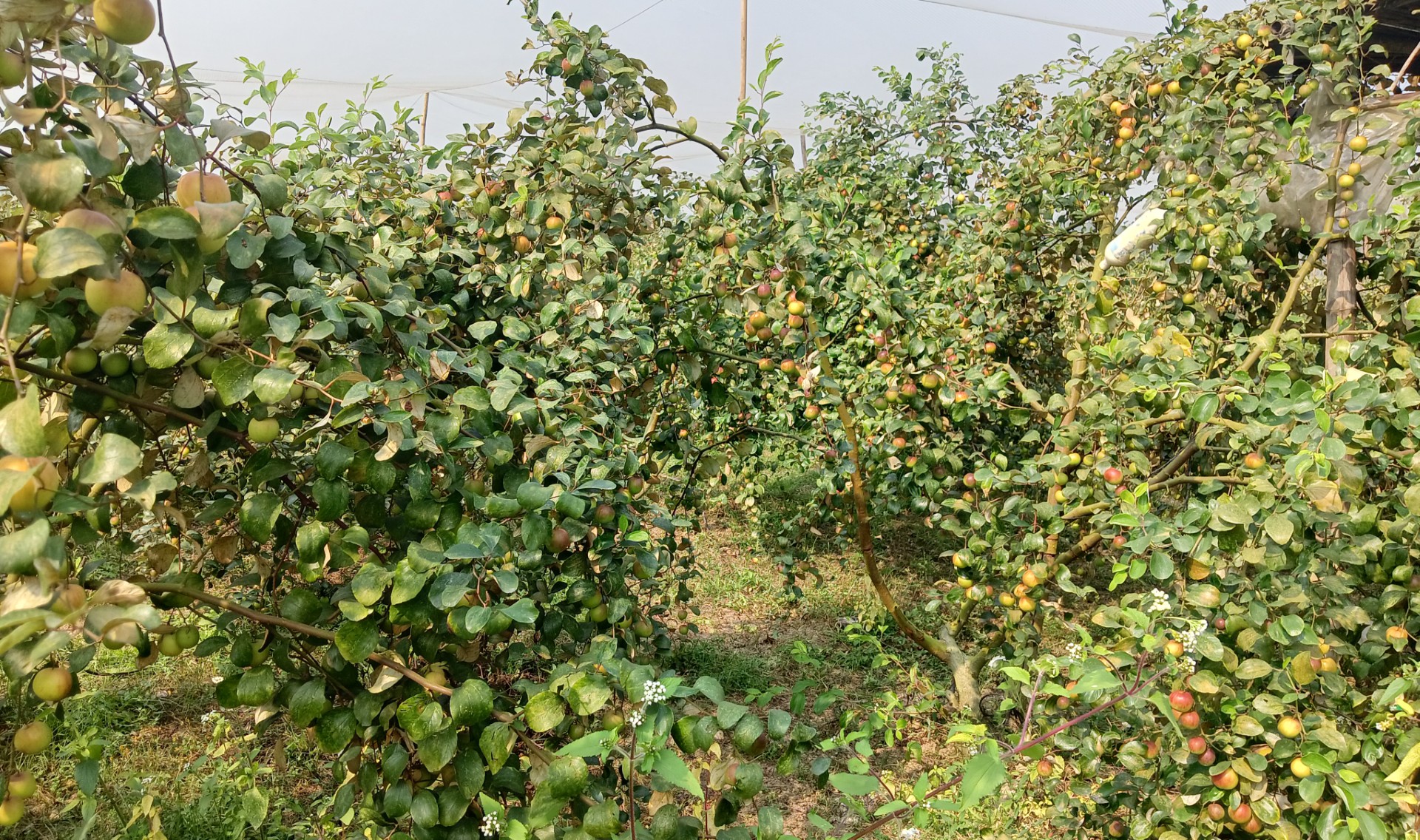 e7471fca-514f-45f6-ad71-888babc1ce83