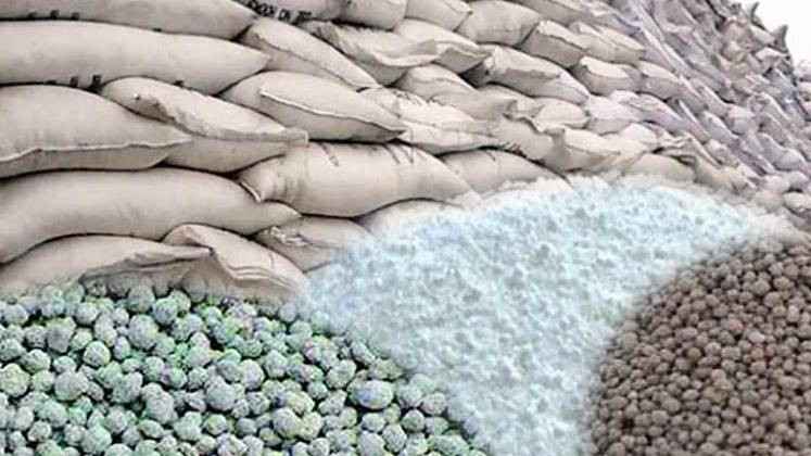 লালমনিরহাটে সিন্ডিকেটের কবলে সারের বাজার