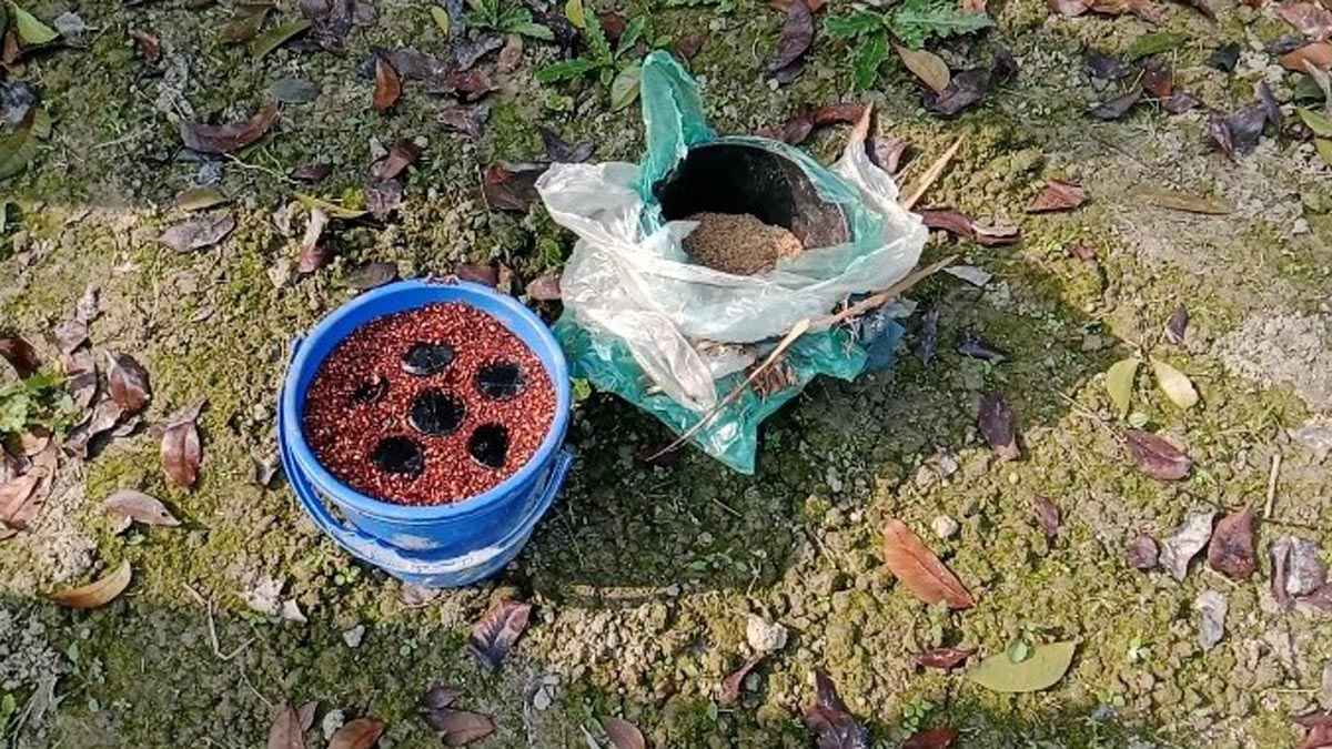 জাজিরায় যৌথ বাহিনীর অভিযানে ৪৫টি ককটেল উদ্ধার