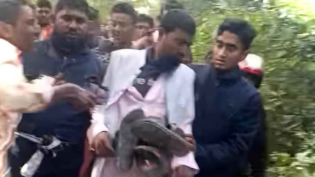 সপ্তম শ্রেণির ছাত্রীকে বিয়ে করায় জুতার মালা পরিয়ে নির্যাতন