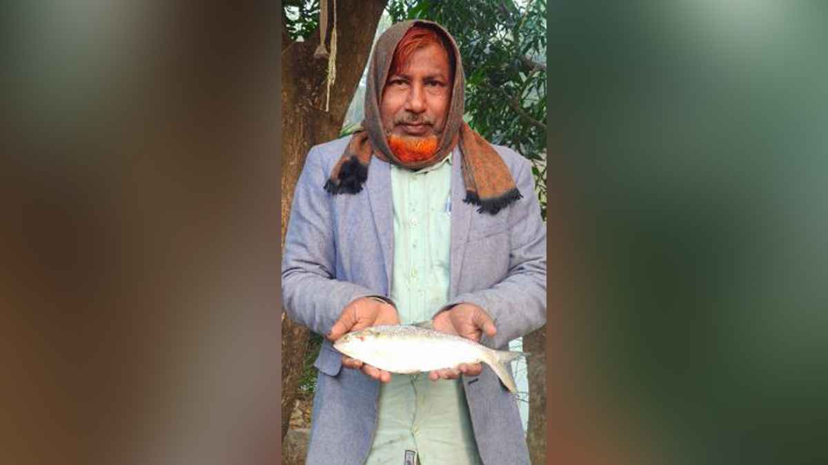 হাতিয়ায় পুকুরে মিলল আধাকেজি ওজনের রুপালি ইলিশ