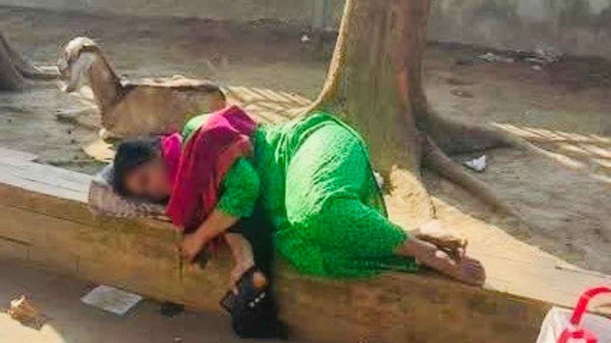 বিষ খেয়ে পার্কের গাছতলায় শুয়ে থাকা জান্নাত মারা গেছেন