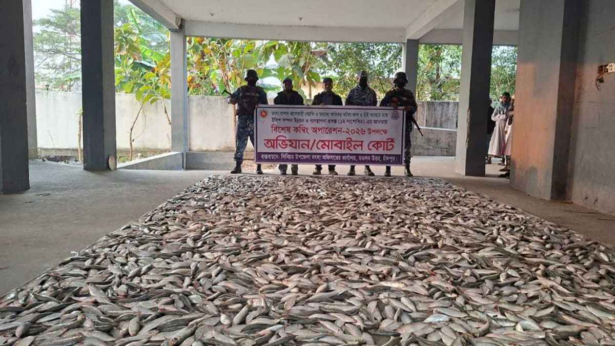 লঞ্চ থেকে জব্দ ৫০ মণ জাটকা এতিম-দুস্থদের মাঝে বিতরণ