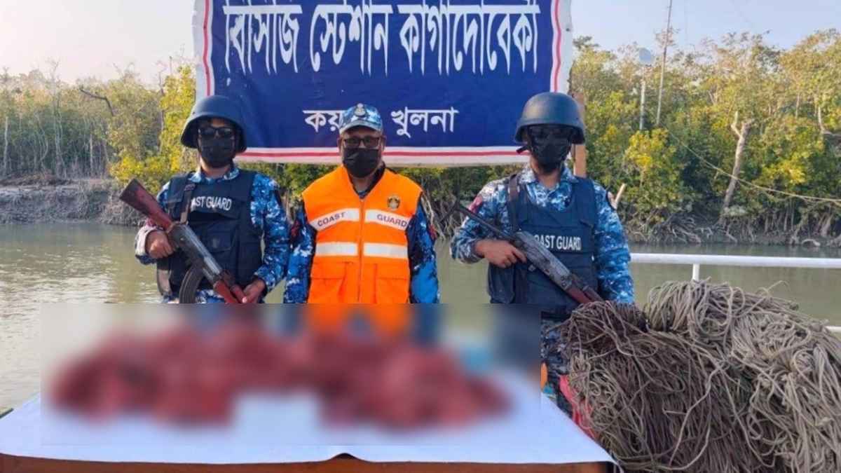 সুন্দরবনে হরিণের আড়াই মণ মাংসসহ ফাঁদ জব্দ