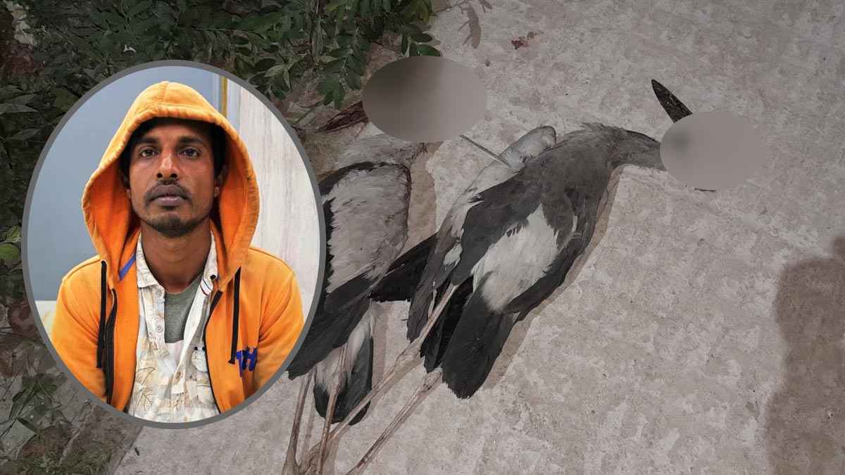 অতিথি পাখি হত্যার দায়ে যুবকের ৭ দিনের কারাদণ্ড