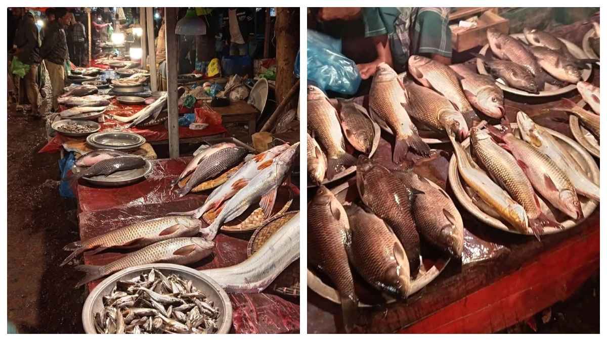 নবান্ন ও পৌষসংক্রান্তি ঘিরে শেরপুরে জমে উঠেছে মাছের মেলা