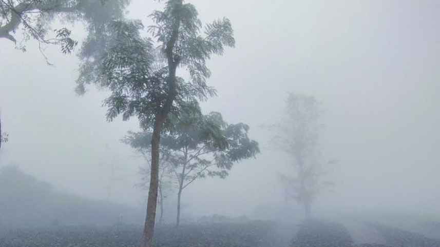 শীতে কাহিল শ্রীমঙ্গল, ৮ জেলায় সর্বনিম্ন তাপমাত্রা