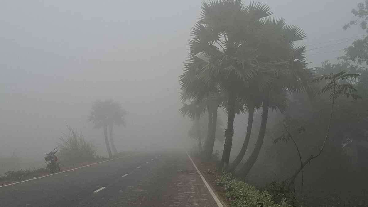 শৈত্যপ্রবাহের কবলে নওগাঁ, তাপমাত্রা ৯ ডিগ্রির ঘরে