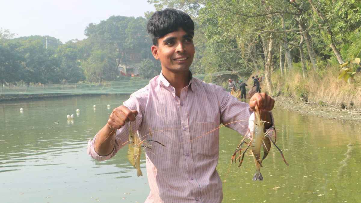 পড়াশোনার পাশাপাশি গলদা চিংড়ি চাষে রাজুর অভাবনীয় সাফল্য