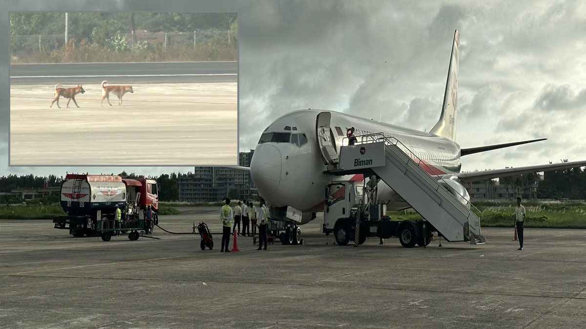 কক্সবাজার বিমানবন্দরের রানওয়েতে কুকুরের অবাধ বিচরণ