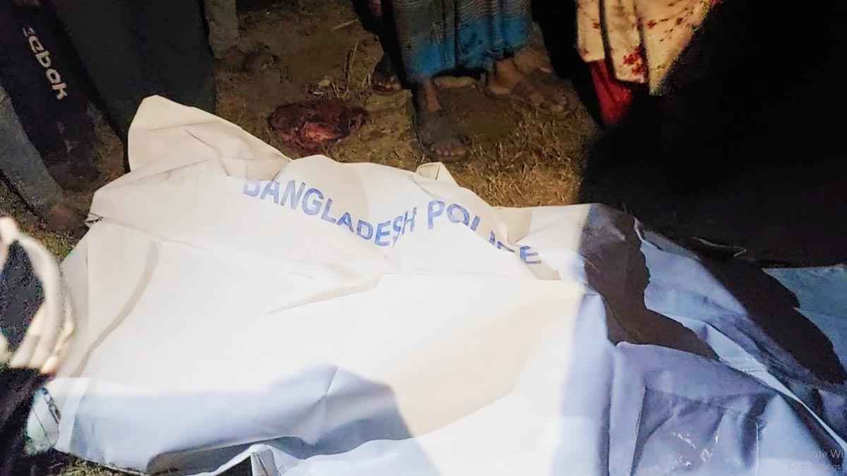 নড়াইলে বাসের ধাক্কায় শ্রমিক নিহত