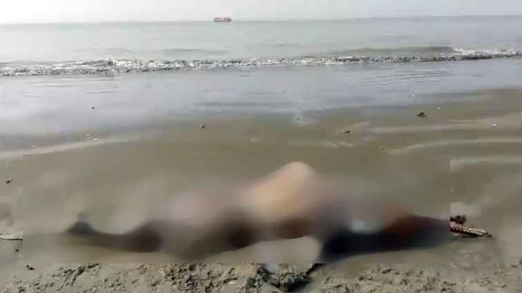কুয়াকাটা সৈকতে ভেসে উঠল মৃত ডলফিন