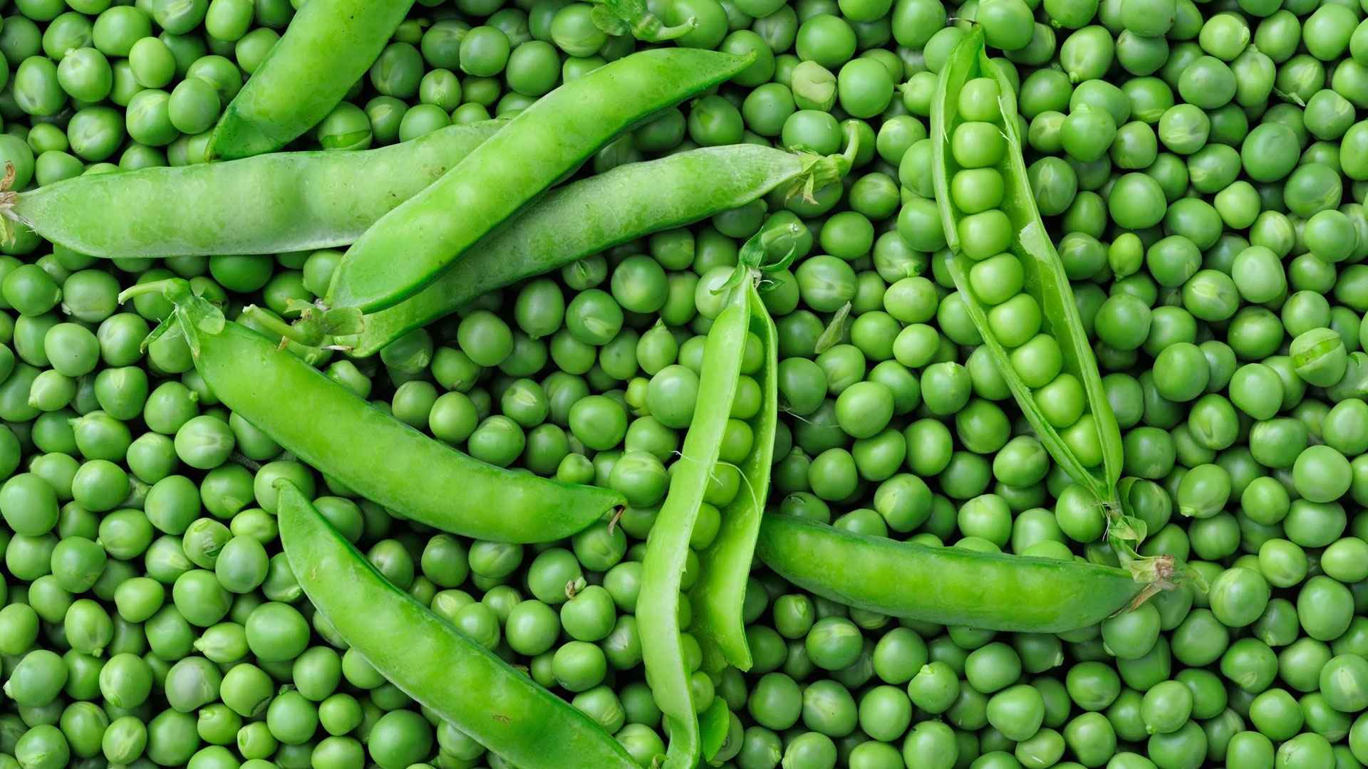 শীতের মটরশুঁটি সংরক্ষণ করুন বছরজুড়ে, জানুন উপায়