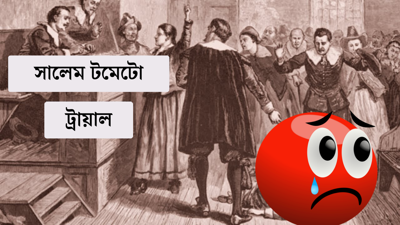 টমেটো, সালেম টমেটো ট্রায়াল, tomato