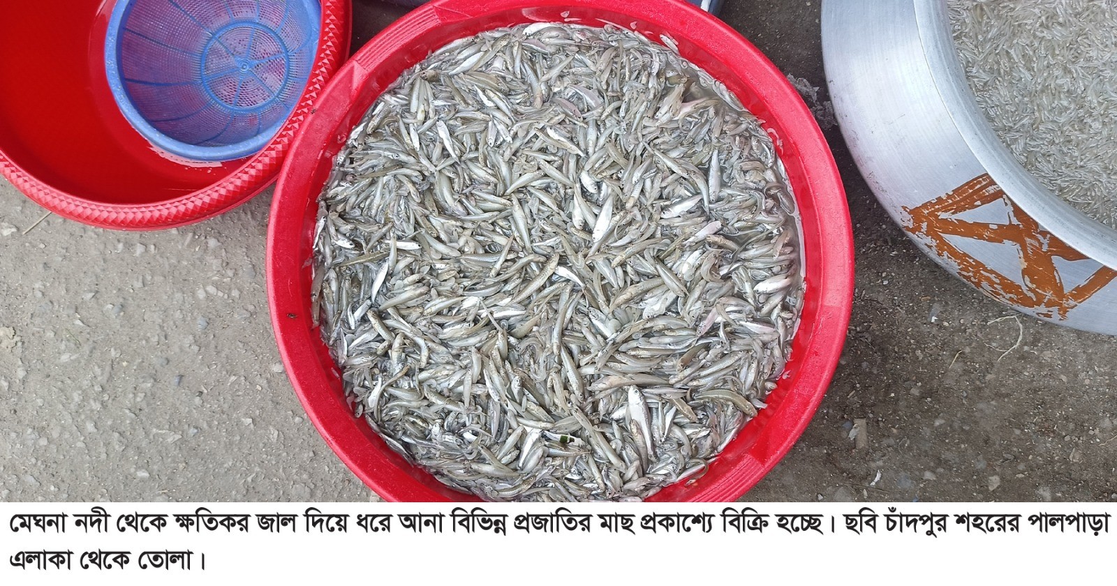 thumbnail_1000084946