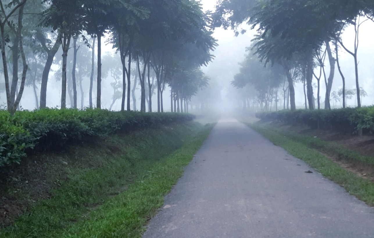 thumbnail_1000183219