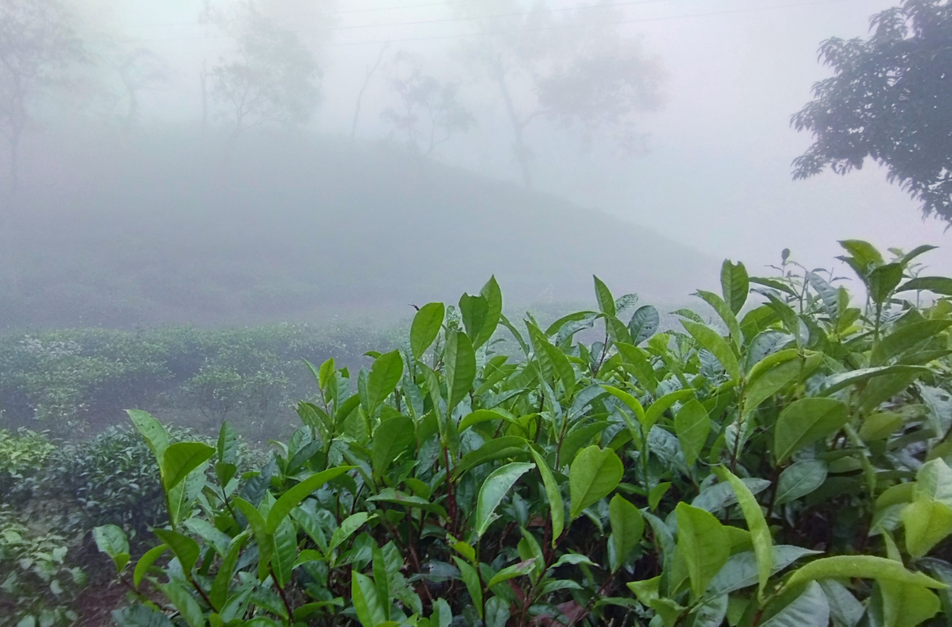 thumbnail_1000183220