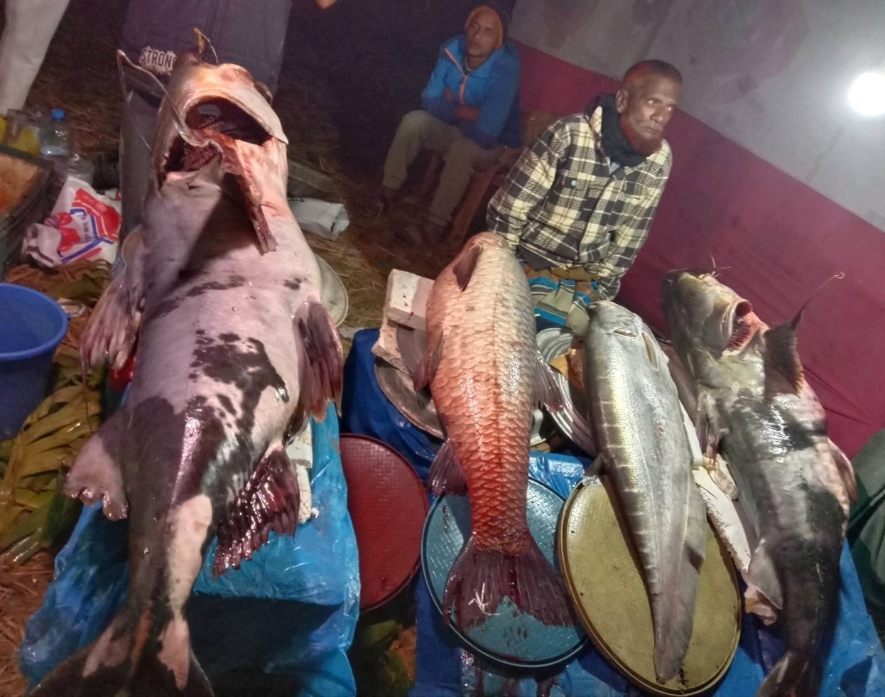 thumbnail_1000185063