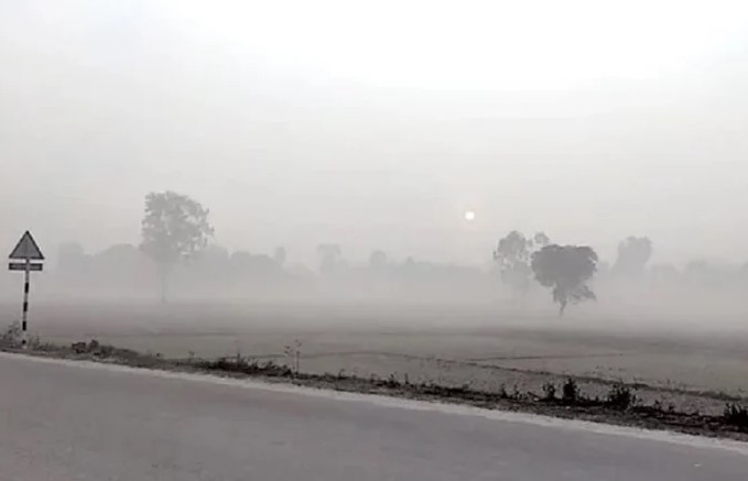 thumbnail_1000260153