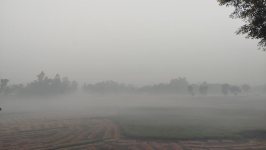 thumbnail_1000260154