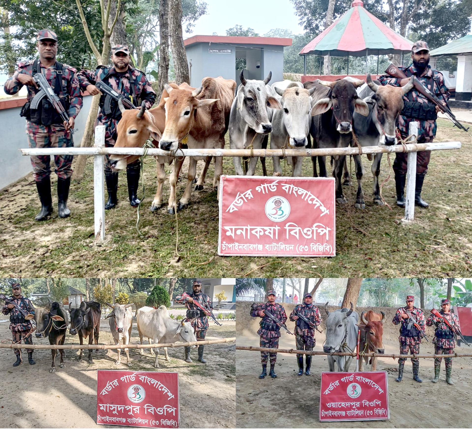 thumbnail_1000275720