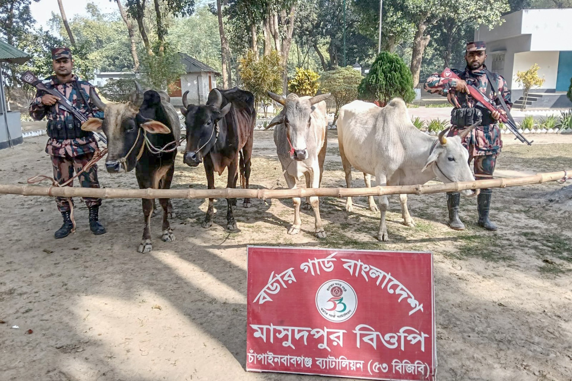 thumbnail_1000275722