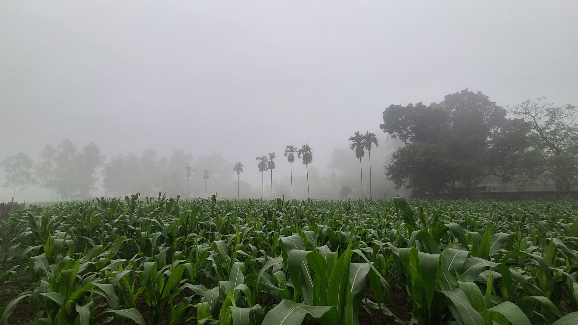 thumbnail_20251227_080054