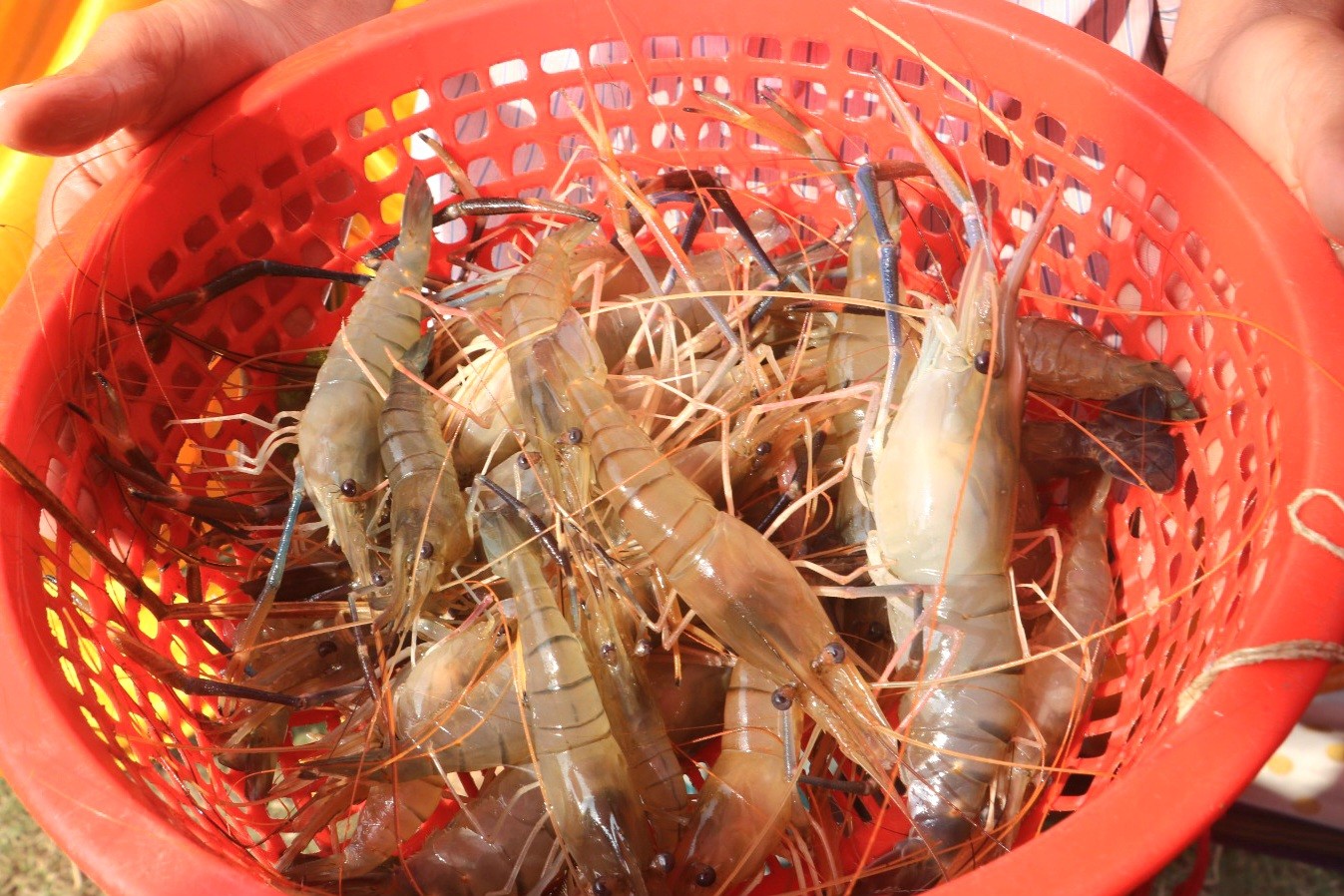 thumbnail_IMG-20260101-WA0007