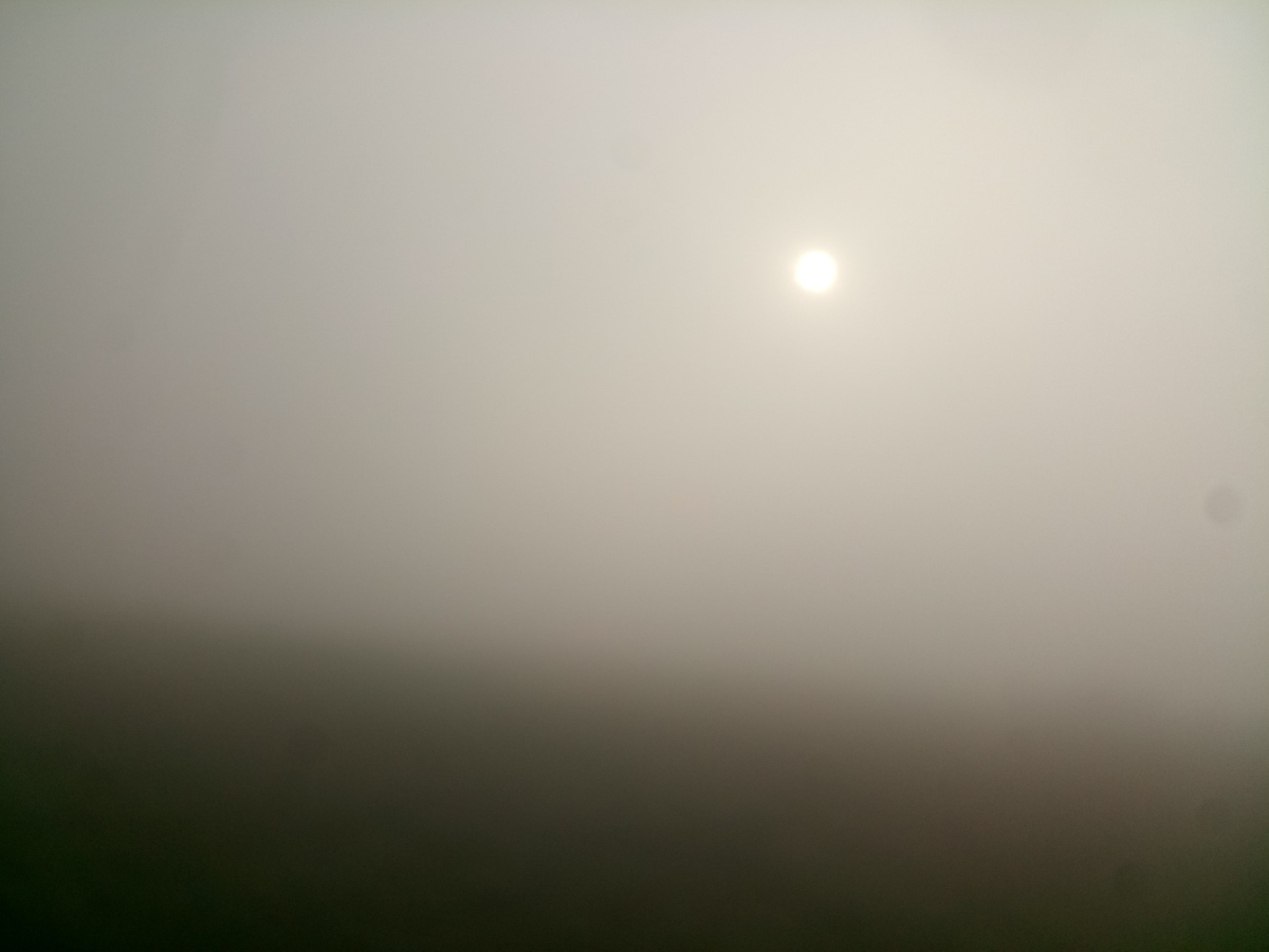 thumbnail_IMG_20251224_081249_8