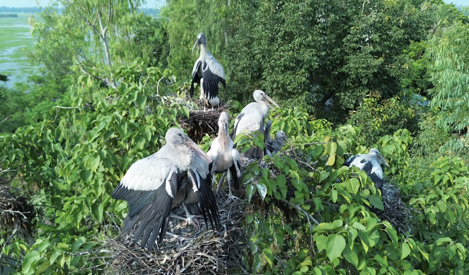 thumbnail_Sirajgonj_Pic_(7)