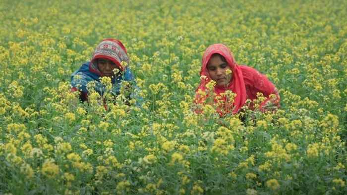 নারী ভোটারদের মধ্যে সচেতনতা বাড়াতে বিশেষ টিভিসি প্রকাশ