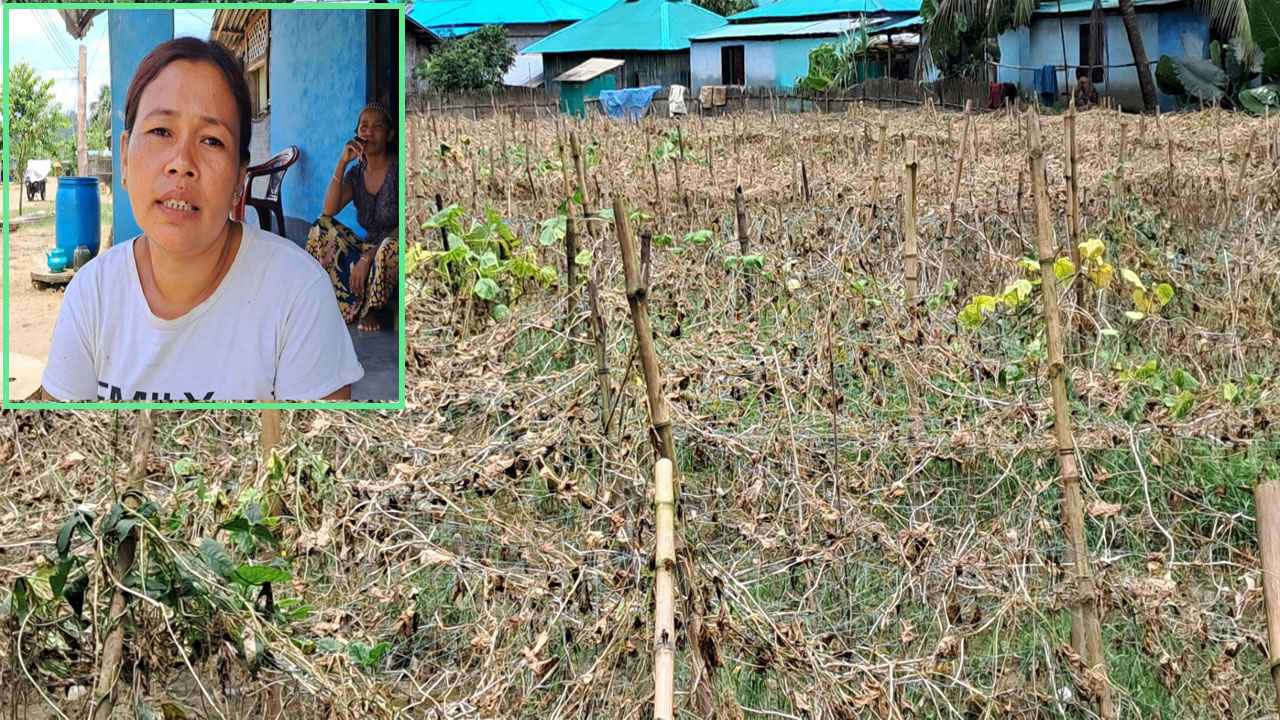 ‘ঋণ শোধ করব কীভাবে, সন্তানদের পড়াশোনার খরচ দেব কীভাবে, ভাত খাব কী’