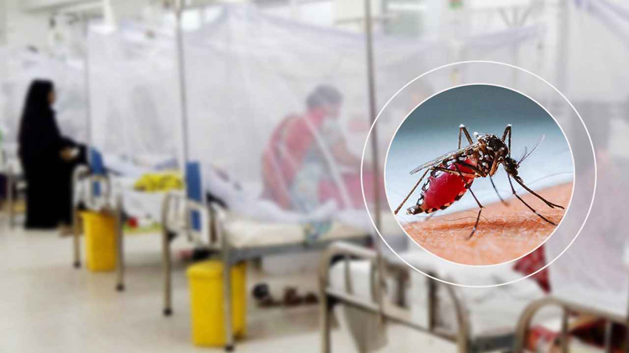 Dengue_20
