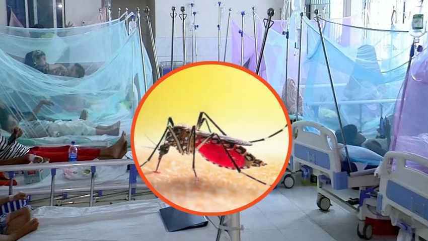 ডেঙ্গুতে মৃত্যু বেড়ে ১৯, একদিনে হাসপাতালে ভর্তি ১৬৩