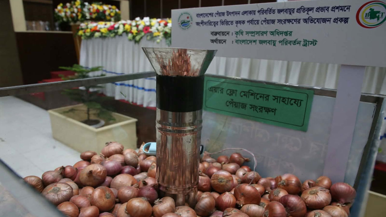 Onion