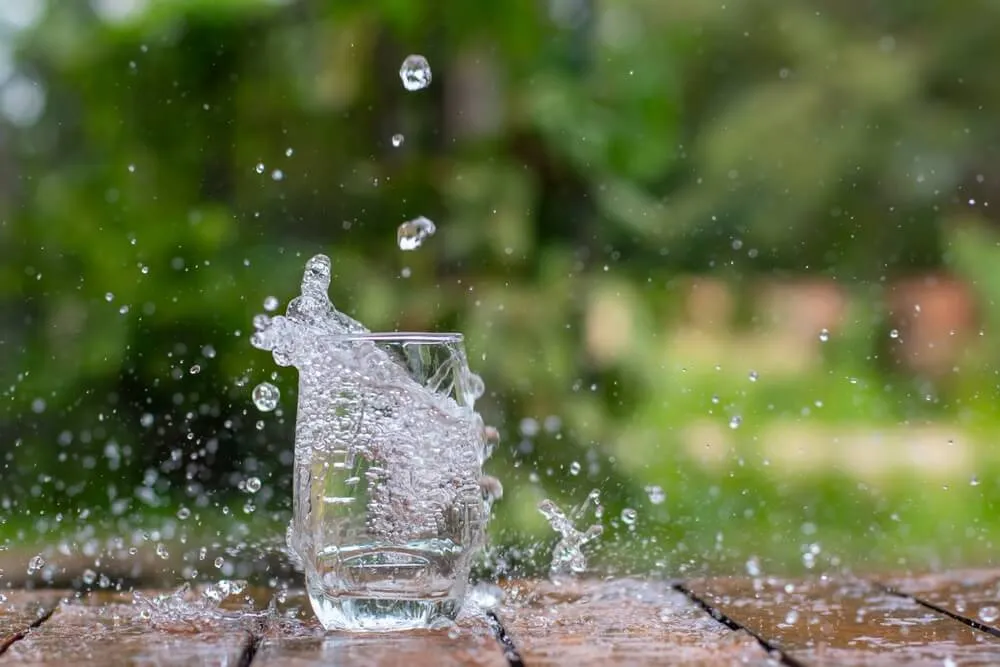 Risks_and_Benefits_of_Drinking_Rainwater-1704782445140