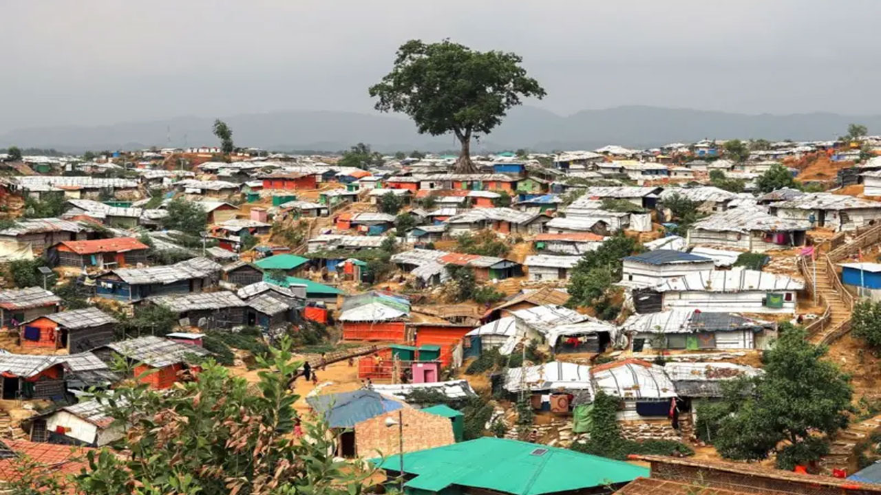 Rohingya