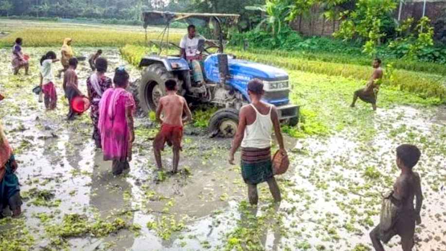 কাদামাখা মাঠে যেন ফিরে এল হারানো শৈশব