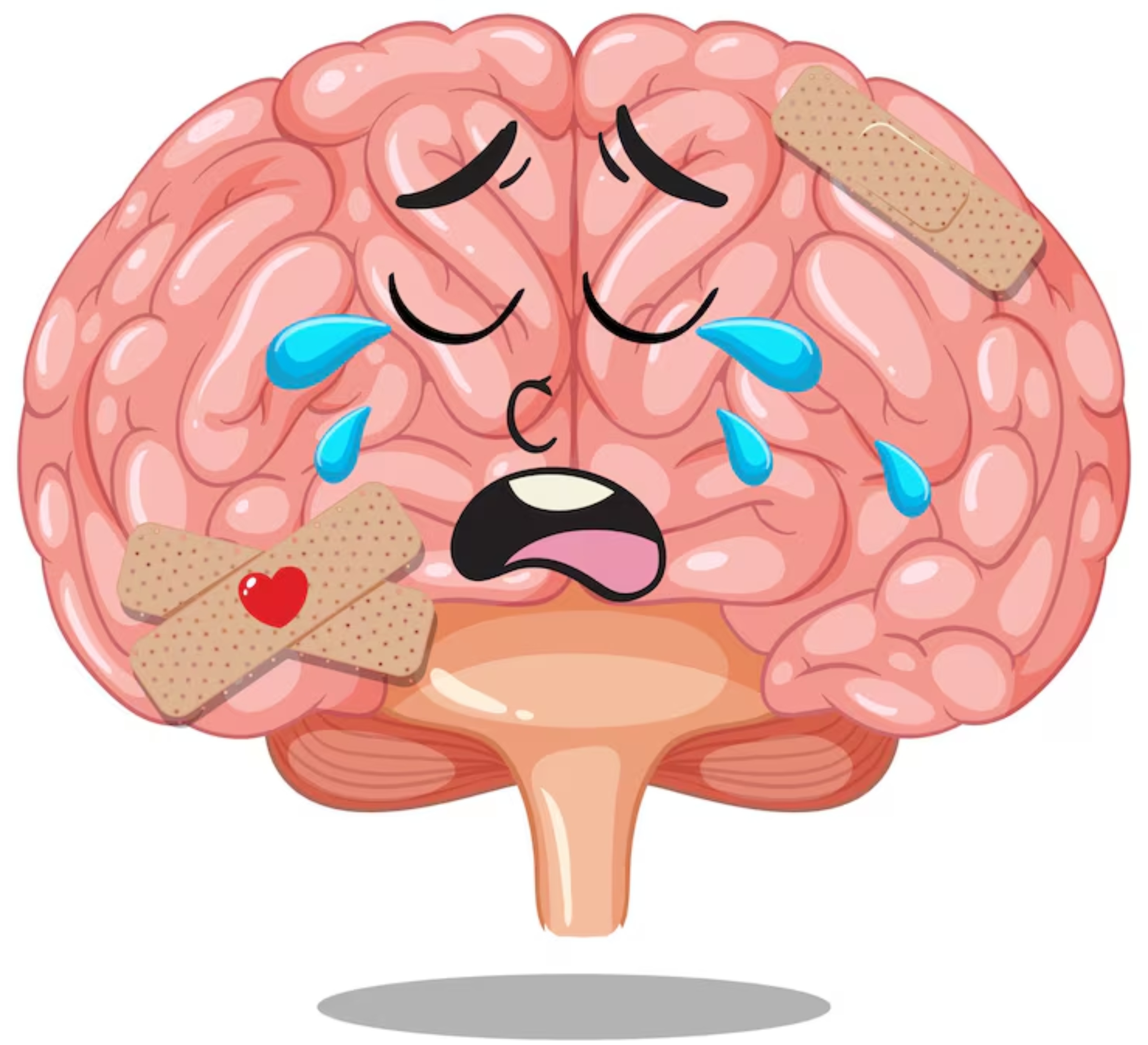 brain_2 brain_2