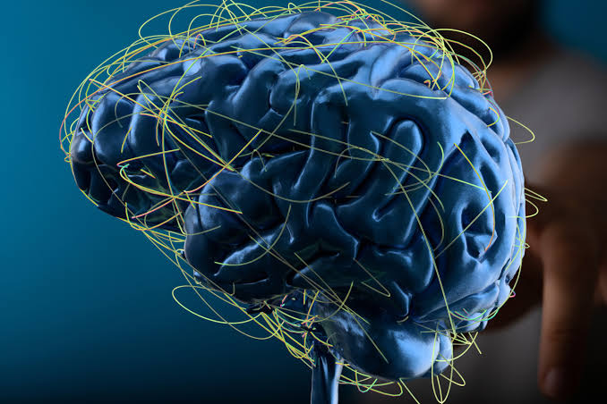 brain_4 brain_4