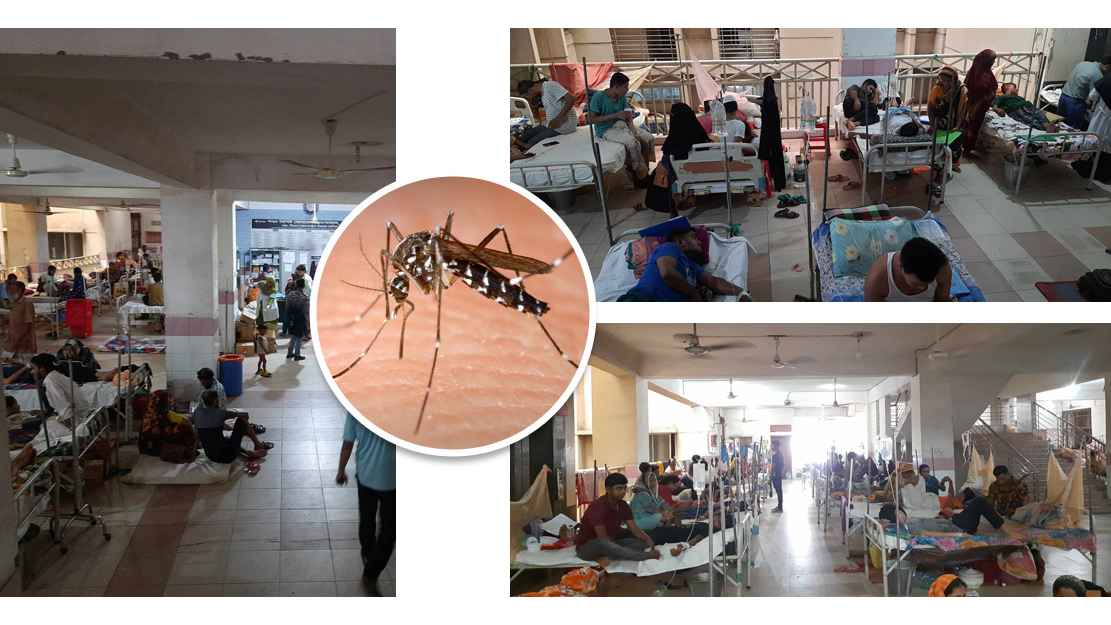 dengue-_20