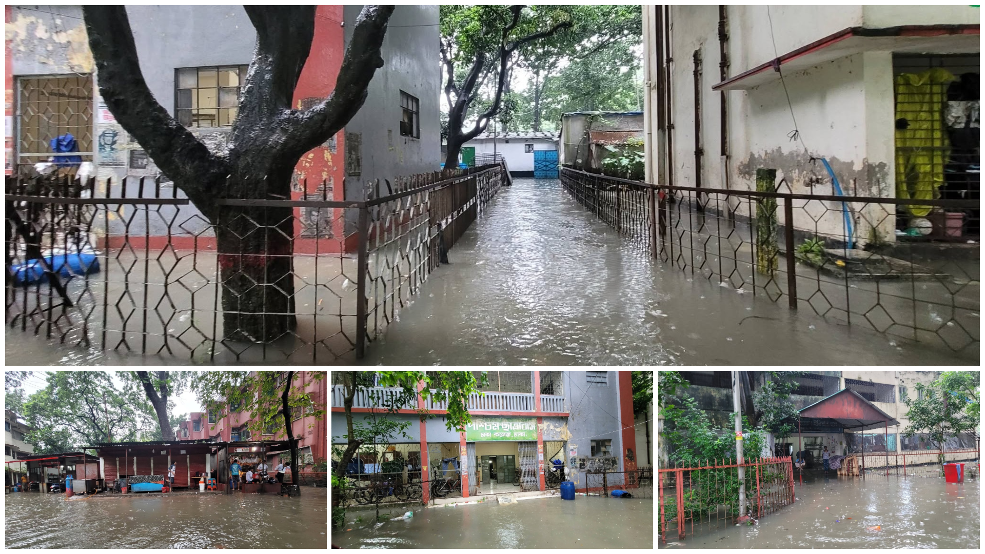টানা বৃষ্টিতে জলাবদ্ধ ঢাকা কলেজ, দুর্ভোগ