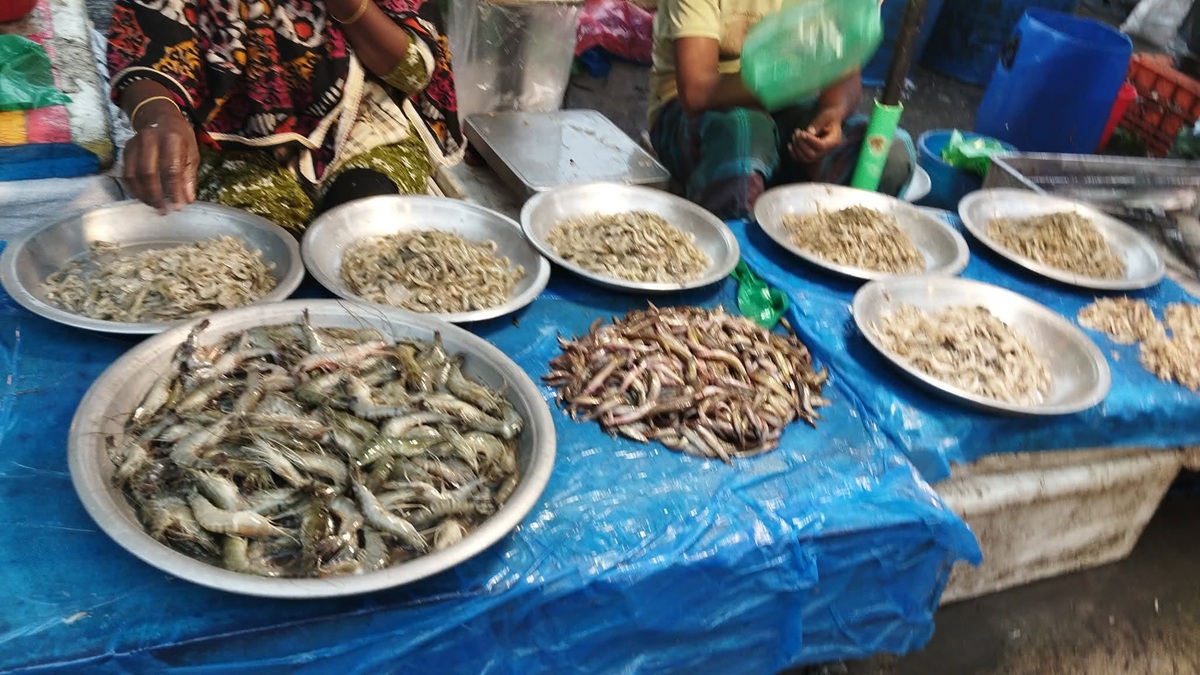 fish_2