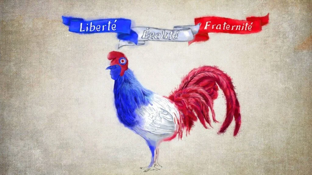 france_5 france_5