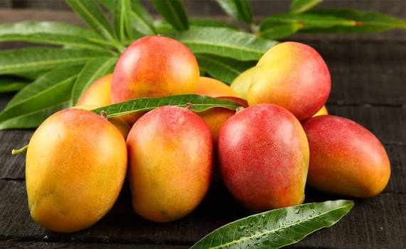images_(5)