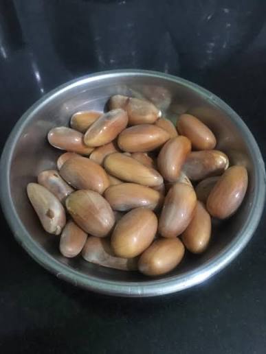 jackfruit_seed_2 jackfruit_seed_2