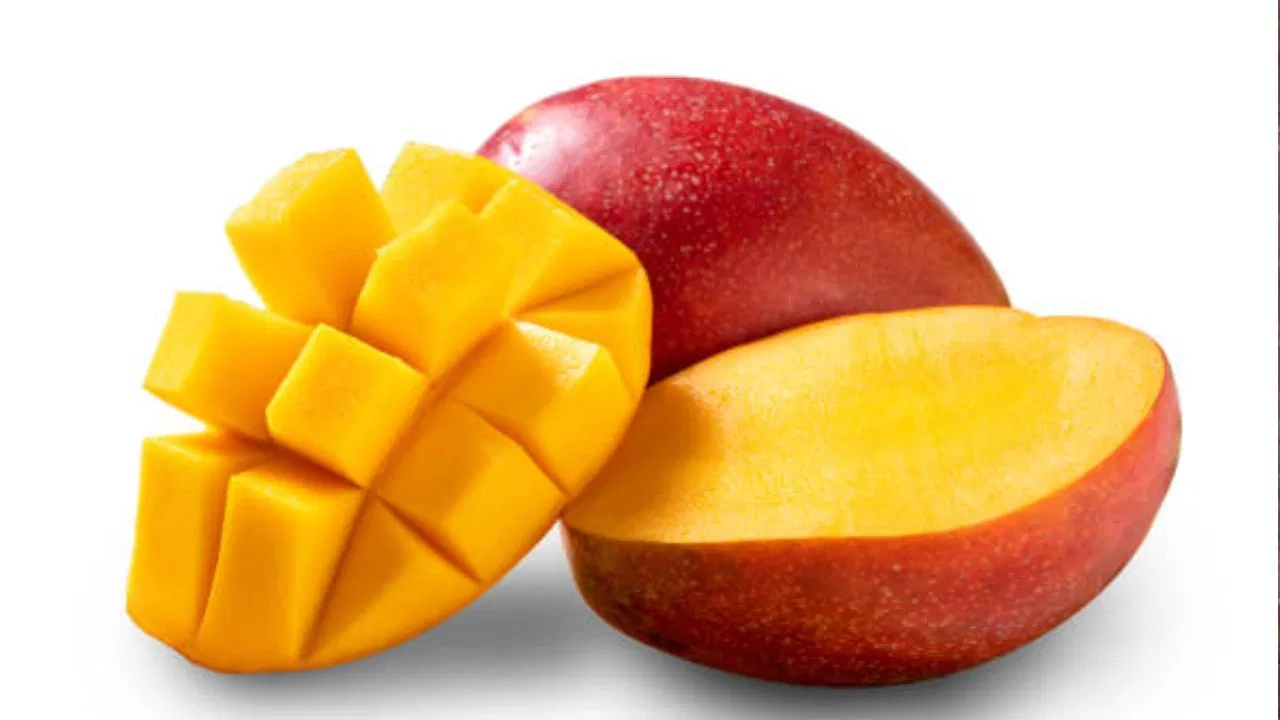 mango-4-1